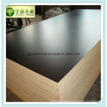 Concrete Plywood / Shuttering Plywood/ Film Faced Plywood for Form Work